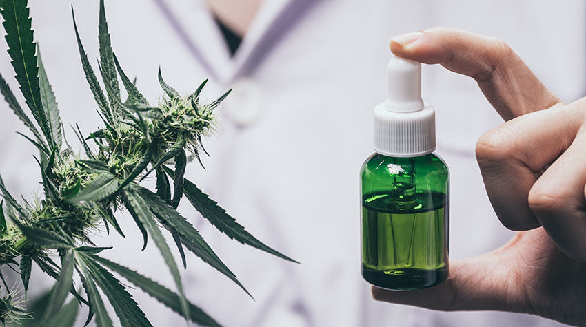 Doctor holding a Bottle of CBDV Tincture mixed with CBD oil explaining the benefits of CBDV for human health & wellness.
