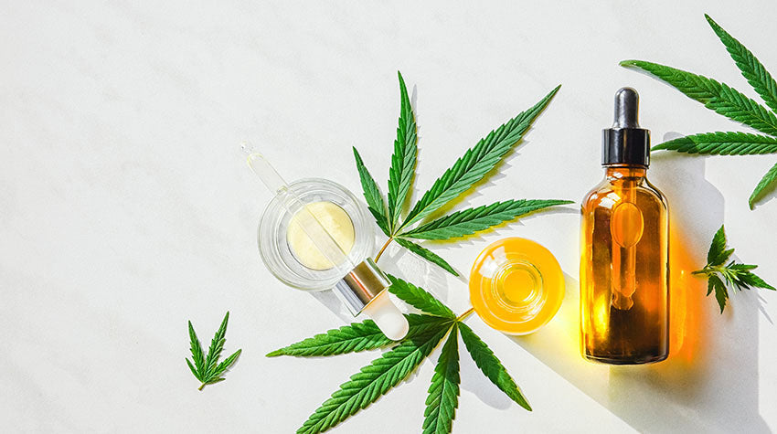 CBG and CBN tincture and cannabis leaves from Oscity Labs water soluble CBD oil full spectrum tincture.